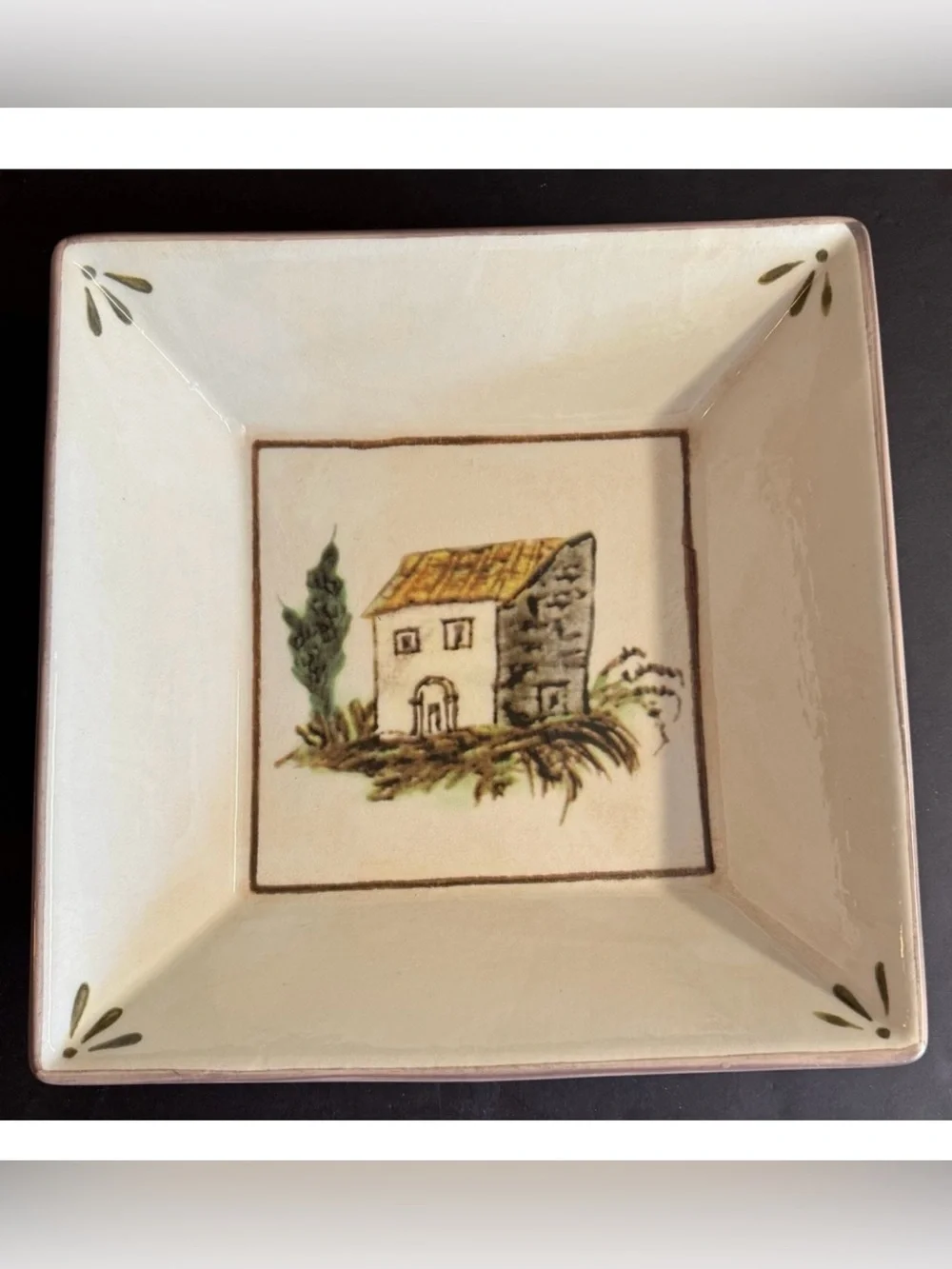 Vintage Retired Williams Sonoma 13” Ceramic Square Serving Dish.Made in Italy.